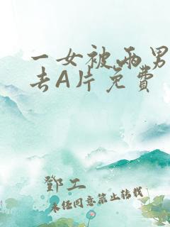 一女被两男桶进去A片免费