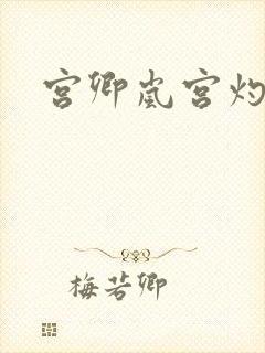 宫卿岚宫灼小说