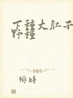 下种大肚子怀孕野种