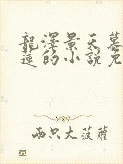 龙泽景天慕容青莲的小说免费阅读