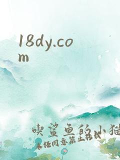 18dy.com