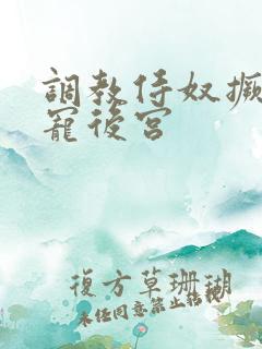 调教侍奴撅臀男宠后宫