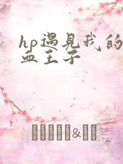 hp遇见我的混血王子