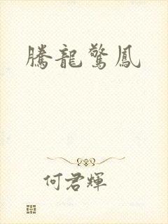 腾龙惊凤