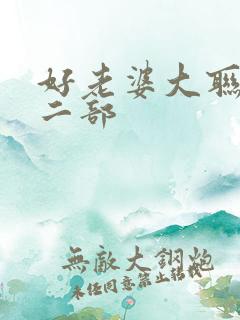 好老婆大联盟第二部