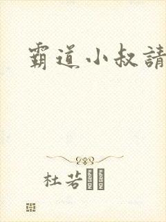 霸道小叔请轻撩