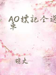 AO标记全过程车