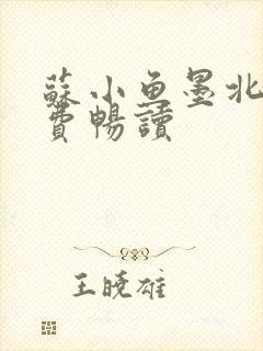 苏小鱼墨北枭免费畅读