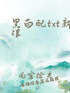 黑白配txt新浪
