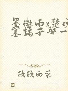 墨微雨x楚晚宁塞橘子哪一章