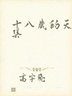 十八岁的天空续集