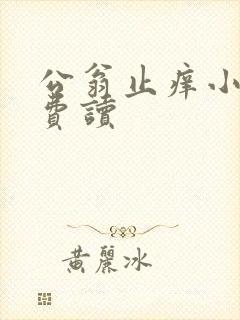 公翁止痒小说免费读