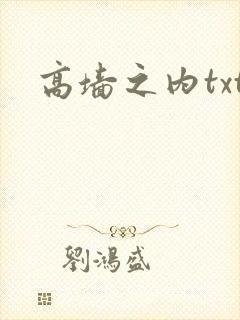 高墙之内txt