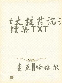 t大校花沉浮录续集TXT