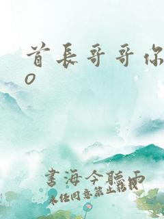 首长哥哥你好po