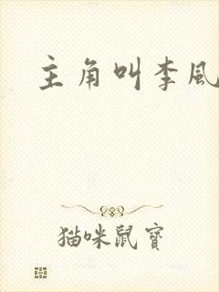 主角叫李风起