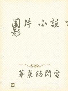 图片 小说 电影