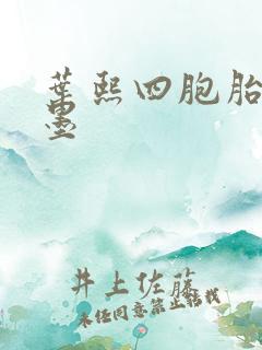 叶熙四胞胎厉子墨