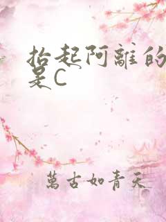 抬起阿离的腿就是C