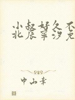 小叔好久不见顾北辰宁汐免费阅读