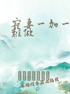 宠妻一加一老婆难做