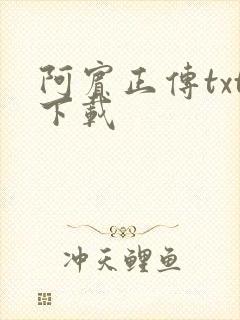 阿宾正传txt下载