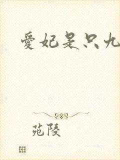 爱妃是只九尾猫