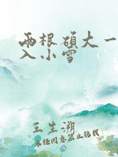 两根硕大一起挤入小雪