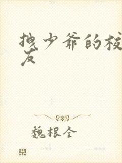 拽少爷的校花女友