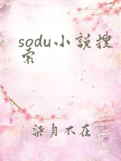 sodu小说搜索