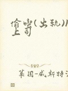 偷吃(出轨)h上司