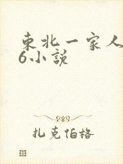 东北一家人1一6小说