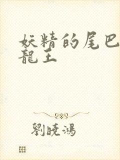 妖精的尾巴之幻龙王