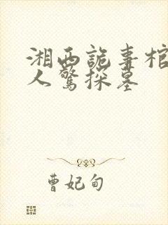 湘西诡事棺山道人惊探墓