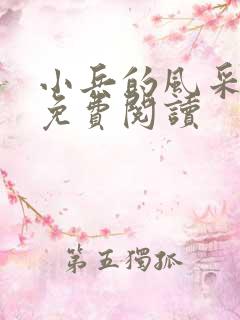 小兵的风采小说免费阅读