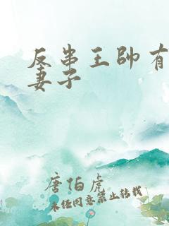 反串王帅有几任妻子