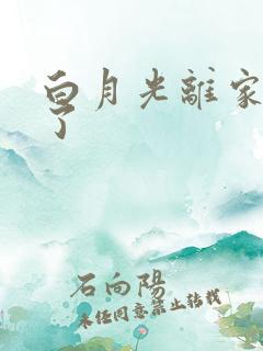 白月光离家出走了