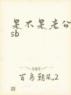 是不是老公的小sb