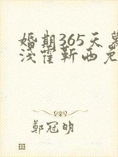 婚期365天慕浅霍靳西免费阅读