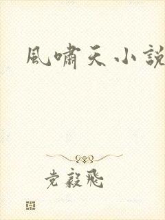 风啸天小说