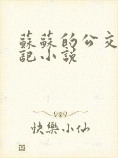 苏苏的公交车日记小说