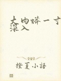 大肉蟒一寸寸地深入