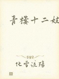 青楼十二妓
