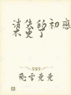 消失的初恋为啥不更了