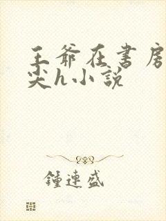 王爷在书房含乳尖h小说