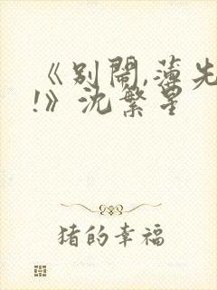 《别闹,薄先生!》沈繁星