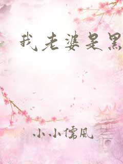 我老婆是黑社会