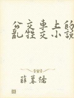 公交车上的疯狂乱牲交小说