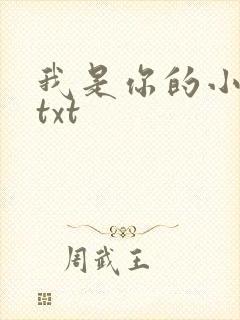 我是你的小小狗txt