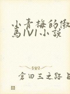 小青梅的傲娇竹马1V1小说